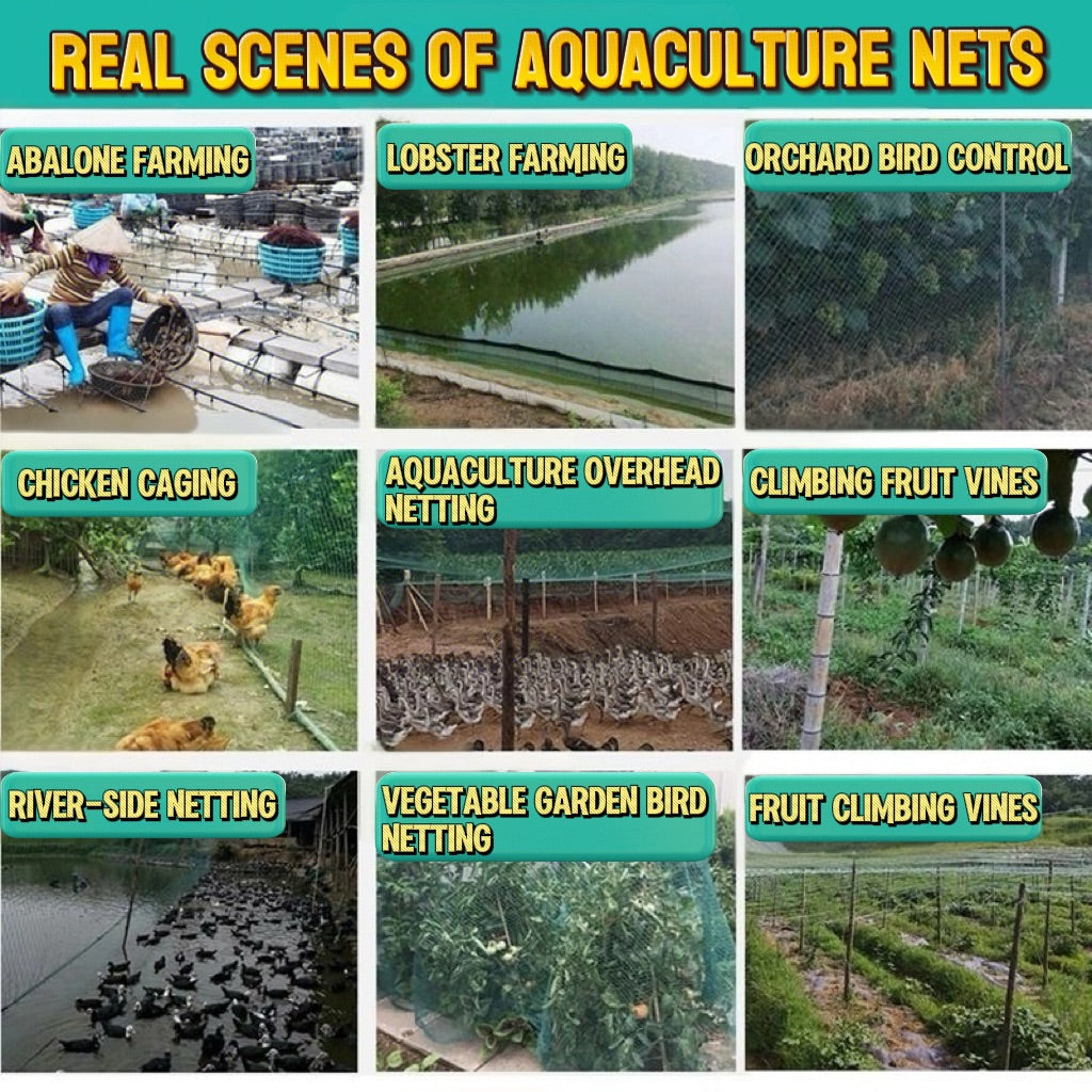 1.25 inch Chicken Net Length  Fish Net for Fishing Garden Net