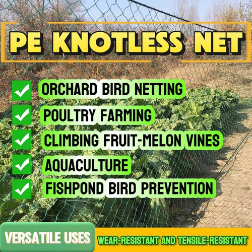 Chicken Net with Free Rope 100M x 6FT 1.25Inch Mesh Lambat for Poultry Garden Fishing